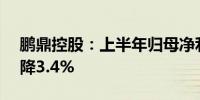 鹏鼎控股：上半年归母净利润7.84亿元同比降3.4%