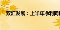 双汇发展：上半年净利同比下降19.05%