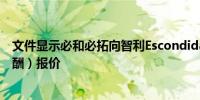 文件显示必和必拓向智利Escondida铜矿矿工提出新的（薪酬）报价