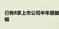 已有8家上市公司半年报披露“数据资源”规模