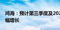 鸿海：预计第三季度及2024年收入同比将大幅增长