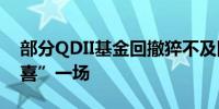 部分QDII基金回撤猝不及防重仓美股“空欢喜”一场