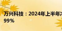 万兴科技：2024年上半年净利润同比下降43.99%