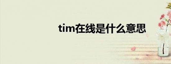 tim在线是什么意思