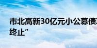 市北高新30亿元小公募债项目状态更新为“终止”