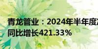 青龙管业：2024年半年度净利润7178.32元 同比增长421.33%