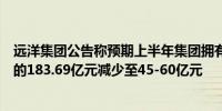 远洋集团公告称预期上半年集团拥有人应占亏损由上年同期的183.69亿元减少至45-60亿元