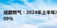 成都燃气：2024年上半年净利润同比下降19.09%