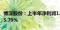 博深股份：上半年净利润1.1亿元 同比增长165.79%