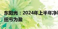 东阳光：2024年上半年净利润2.26亿元 同比扭亏为盈