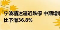 宁波精达逼近跌停 中期增收不增利 Q2净利同比下滑36.8%