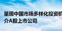 呈现中国市场多样化投资机遇深交所在沙特推介A股上市公司