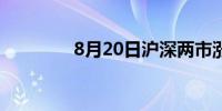 8月20日沪深两市涨停分析