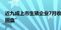 近九成上市生猪企业7月收入增长行业持续“回血”