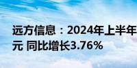 远方信息：2024年上半年净利润3565.91万元 同比增长3.76%