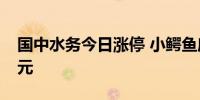 国中水务今日涨停 小鳄鱼席位净买入1.14亿元