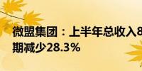 微盟集团：上半年总收入8.67亿元 较上年同期减少28.3%