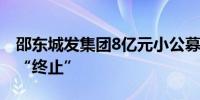 邵东城发集团8亿元小公募债项目状态更新为“终止”