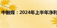 中触媒：2024年上半年净利润增长145.89%