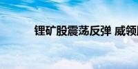 锂矿股震荡反弹 威领股份2连板