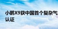 小鹏X9获中国首个复杂气象条件下智驾功能认证