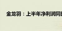 金龙羽：上半年净利润同比下降31.14%