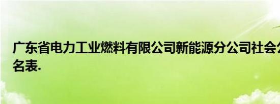 广东省电力工业燃料有限公司新能源分公司社会公开招聘报名表.