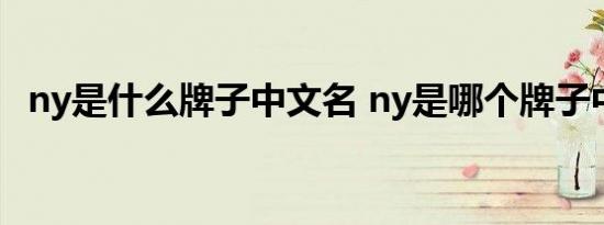 ny是什么牌子中文名 ny是哪个牌子中文名