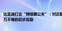 比亚迪打击“网络黑公关”：对近期线索提供者提供1千到5万不等的初步奖励