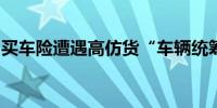 买车险遭遇高仿货“车辆统筹”何以野蛮生长