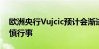 欧洲央行Vujcic预计会渐进降息 并提醒须谨慎行事