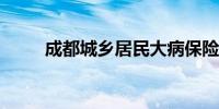 成都城乡居民大病保险报销全指南