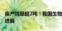 亩产饲草超2吨！我国生物改良盐碱地技术新进展