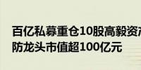 百亿私募重仓10股高毅资产现身13股持仓安防龙头市值超100亿元