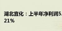 湖北宜化：上半年净利润5.4亿元 同比增114.21%