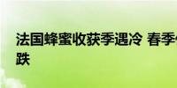 法国蜂蜜收获季遇冷 春季低温多雨致产量暴跌