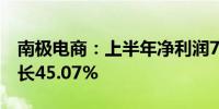 南极电商：上半年净利润7790.5万元 同比增长45.07%