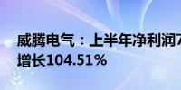 威腾电气：上半年净利润7877.34万元 同比增长104.51%