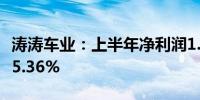 涛涛车业：上半年净利润1.82亿元 同比增长35.36%