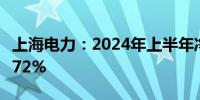 上海电力：2024年上半年净利润同比增长65.72%