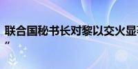 联合国秘书长对黎以交火显著增加“深表担忧”