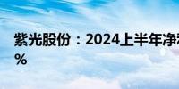 紫光股份：2024上半年净利润同比下降2.13%