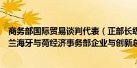 商务部国际贸易谈判代表（正部长级）兼副部长王受文在荷兰海牙与荷经济事务部企业与创新总司长奥普米尔举行会谈