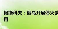 佩斯科夫：俄乌开展停火谈判的想法已不再适用