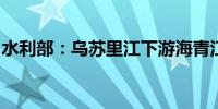 水利部：乌苏里江下游海青江段退至警戒以下