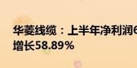 华菱线缆：上半年净利润6076.35万元 同比增长58.89%