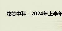 龙芯中科：2024年上半年净亏损2.38亿