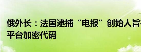 俄外长：法国逮捕“电报”创始人旨在获取该平台加密代码