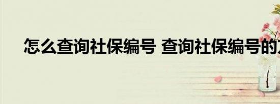 怎么查询社保编号 查询社保编号的方法