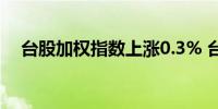 台股加权指数上涨0.3% 台积电引领上涨